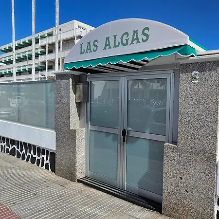 Apartament Hdfm Collection - Algas *