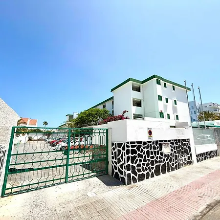 Hdfm Collection - Algas * Playa del Ingles (Gran Canaria)