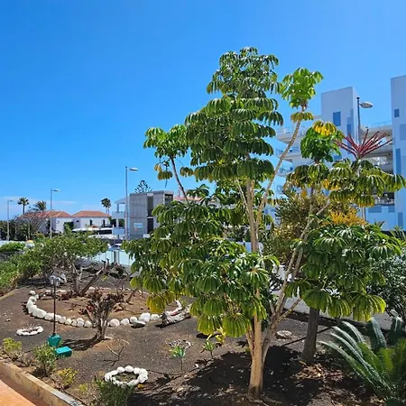 Hdfm Collection - Algas Appartement