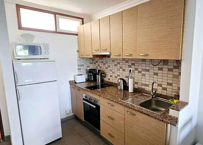 Hdfm Collection - Algas